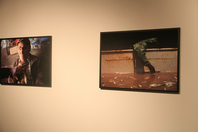 PHOTOMED 2014 Photography Festival